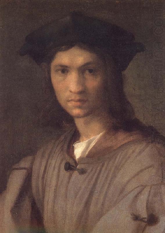 Man portrait, Andrea del Sarto